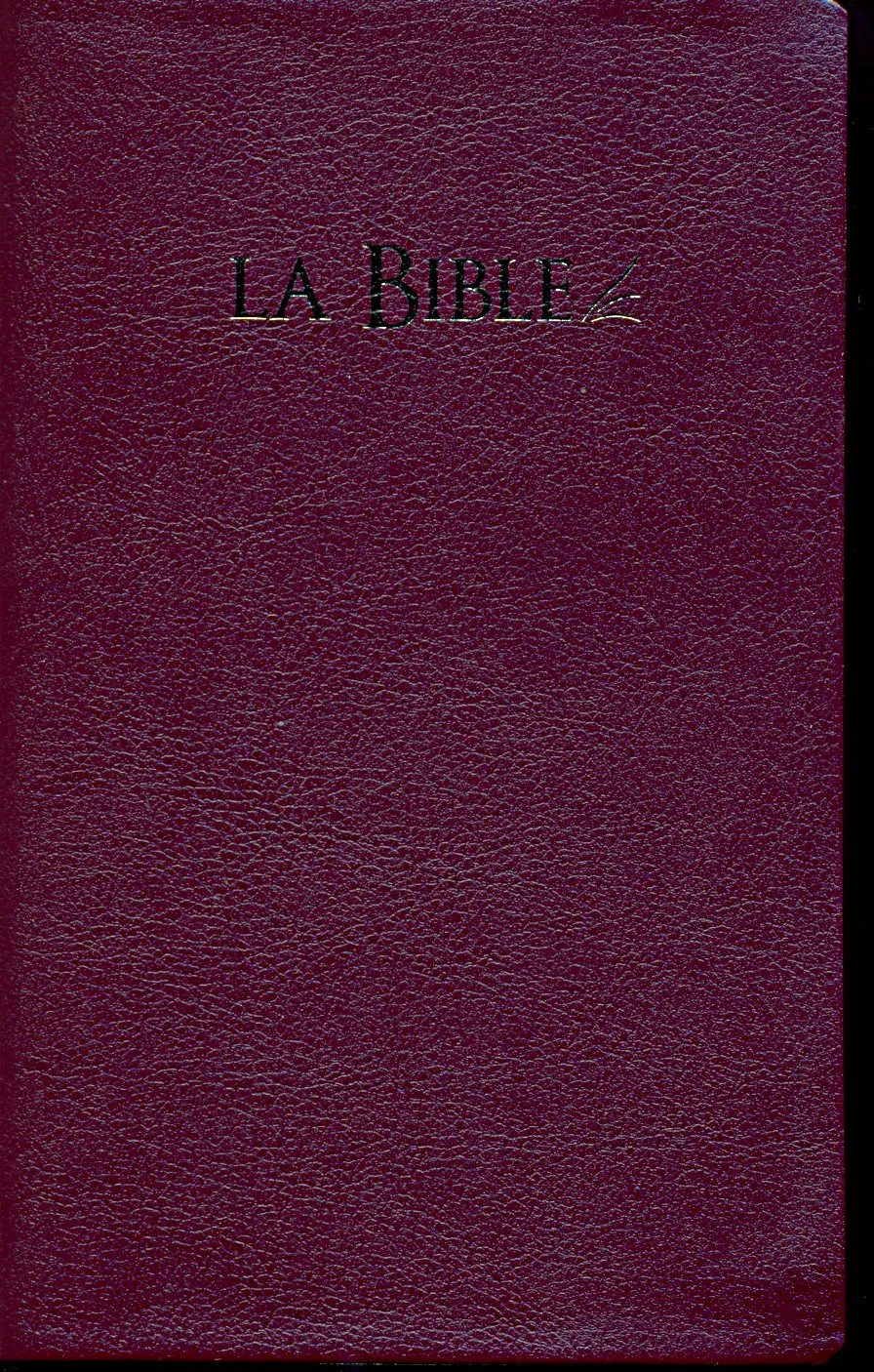 BIBEL SEGOND 21 FIBRO GOLDSCHNITT, BORDEAUX