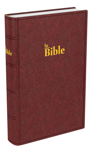Bible Darby, format compact, brune - couverture rigide
