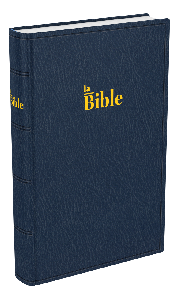 Bible Darby, format standard, bleu - couverture souple