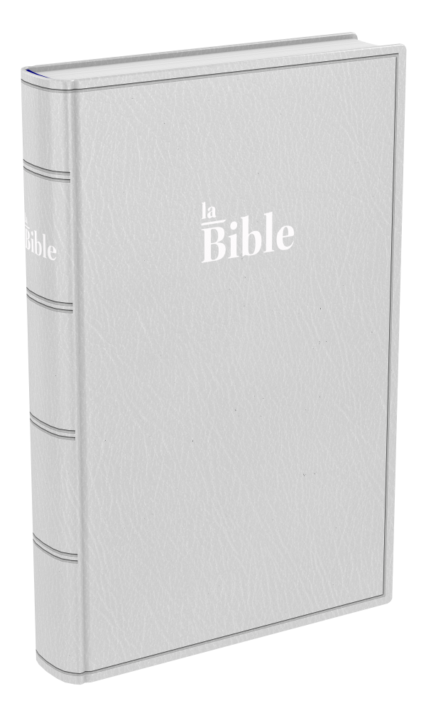 Bible Darby, format standard, gris - couverture souple