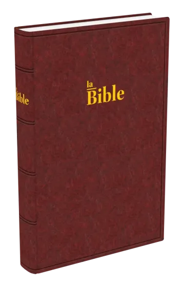 Bible Darby, grand format, brun-rouge - couverture rigide