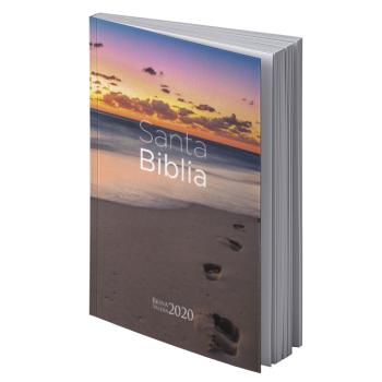 BIBLIA RV2020 RÚSTICA. PLAYA