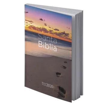 BIBLIA RV2020 RÚSTICA. PLAYA