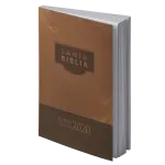 Espagnol, Bible RVR2020, brochée, marron - rústica marrón misionera 070