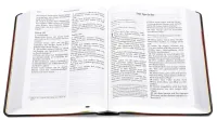 Allemand, Bible Schlachter 2000, gros caractères, duo gris-brun, reliée