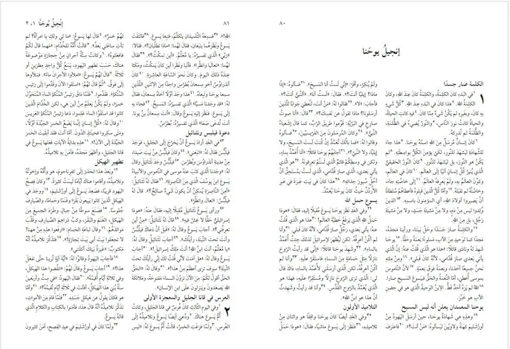 Arabisch, Neues Testament, broschiert, einfarbig