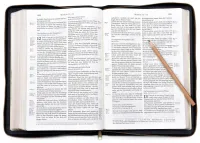 ALLEMAND, BIBLE SCHLACHTER 2000, CUIR, TRANCHE OR, FERMETURE ÉCLAIR