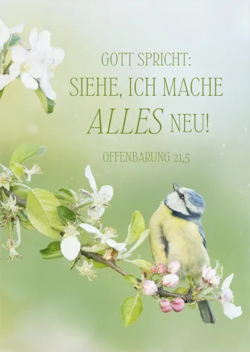 Poster A3 JL 2026 Motiv Vogel - Offenbarung 21,5