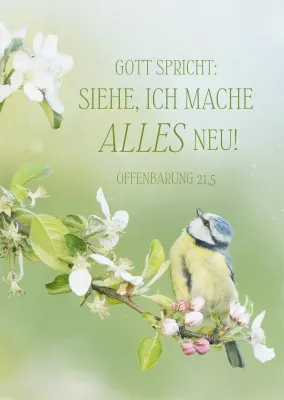 Postkarten JL 2026 Motiv Vogel - Offenbarung 21,5