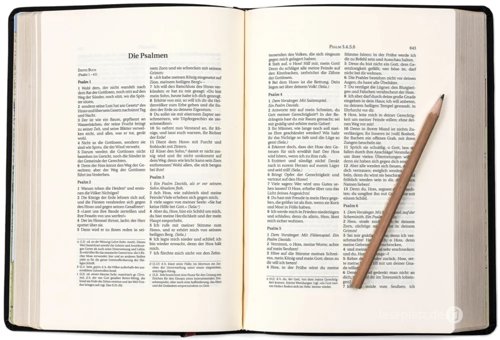 Schlachter 2000 Bibel – Schreibrandausgabe (flexibler Leder-Umschlag, schwarz) -... Schlachter 2000 Bibel – Schreibrandausgabe (flexibler Leder-Umschlag, schwarz) -...
