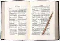Schlachter 2000, Schreibrandausgabe, Kalbsleder-Einband, Fadenheftung, ohne Parallelstellen Schlachter 2000, Schreibrandausgabe, Kalbsleder-Einband, Fadenheftung, ohne Parallelstellen