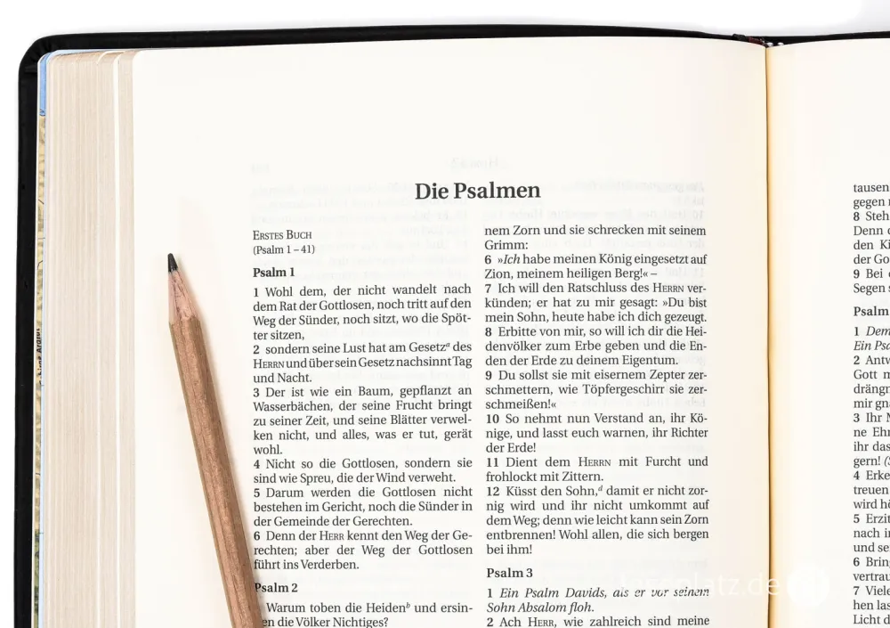 Schlachter 2000 Bibel – Schreibrandausgabe (flexibler Leder-Umschlag, schwarz) -... Schlachter 2000 Bibel – Schreibrandausgabe (flexibler Leder-Umschlag, schwarz) -...