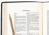 Schlachter 2000, Schreibrandausgabe, Kalbsleder-Einband, Fadenheftung, ohne Parallelstellen Schlachter 2000, Schreibrandausgabe, Kalbsleder-Einband, Fadenheftung, ohne Parallelstellen