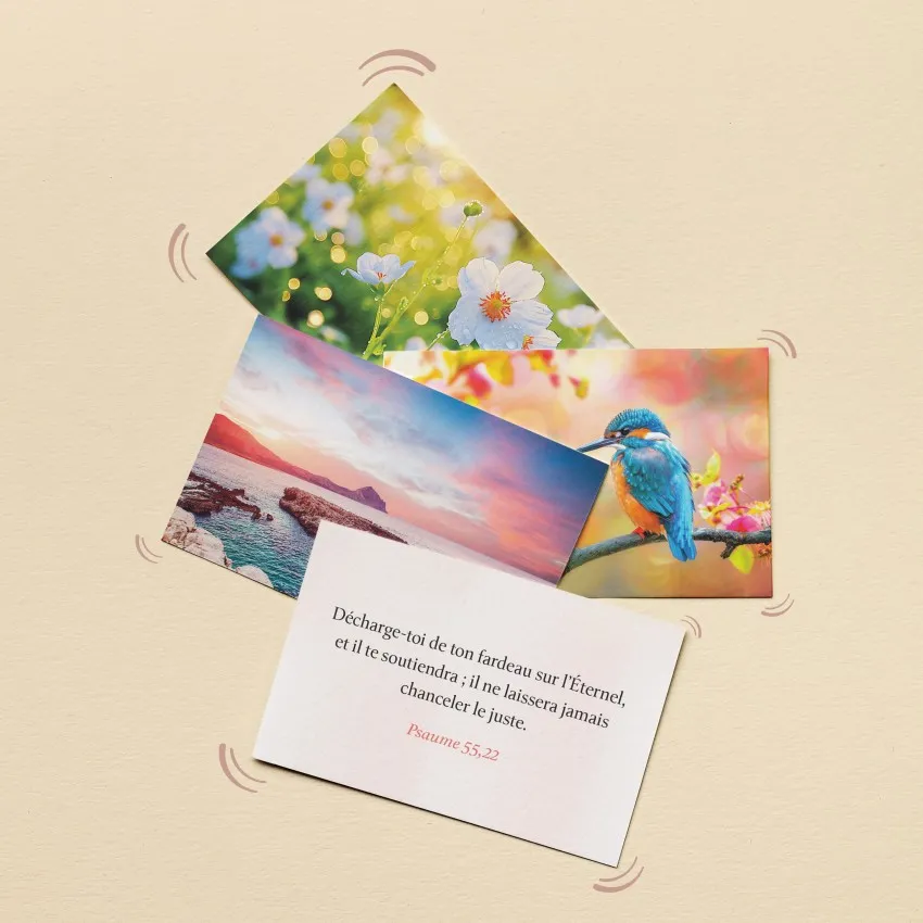 Coffret de 50 mini-cartes - 50 versets - Paix et réconfort