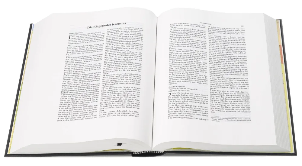 Schlachter 2000, Schreibrandausgabe, Fadenheftung, ohne Parallelstellen
