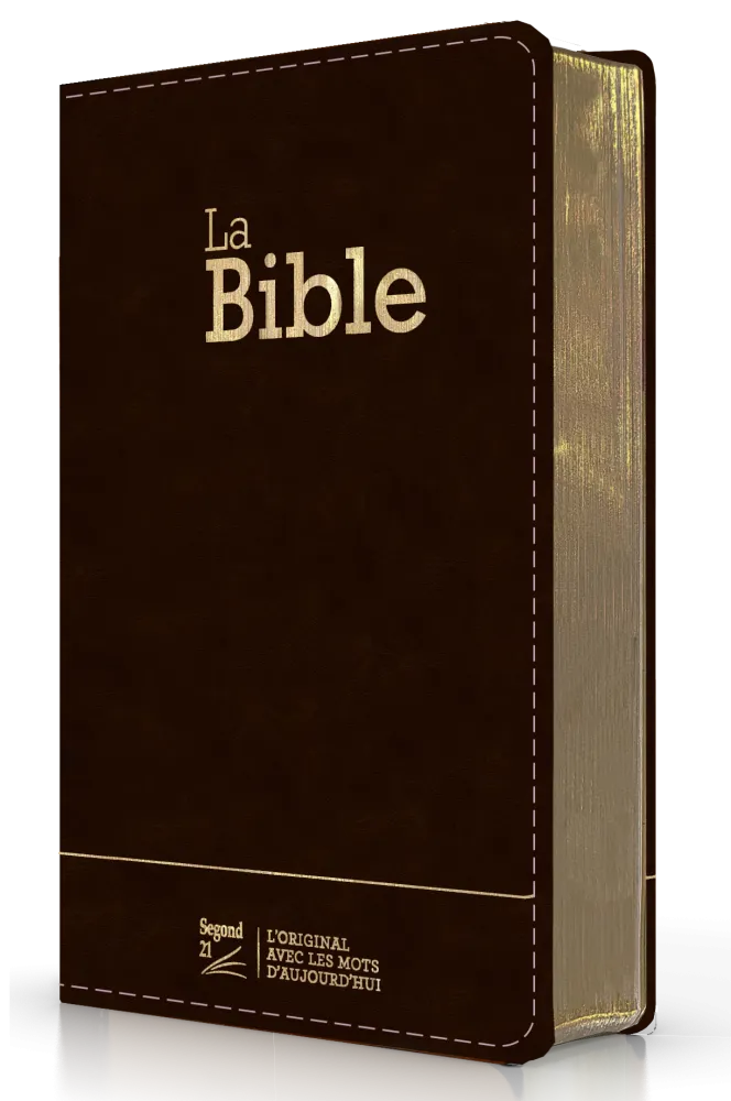 Bible Segond 21 compacte (Premium Style) - couverture semi-rigide duo cuir anthracite, avec...