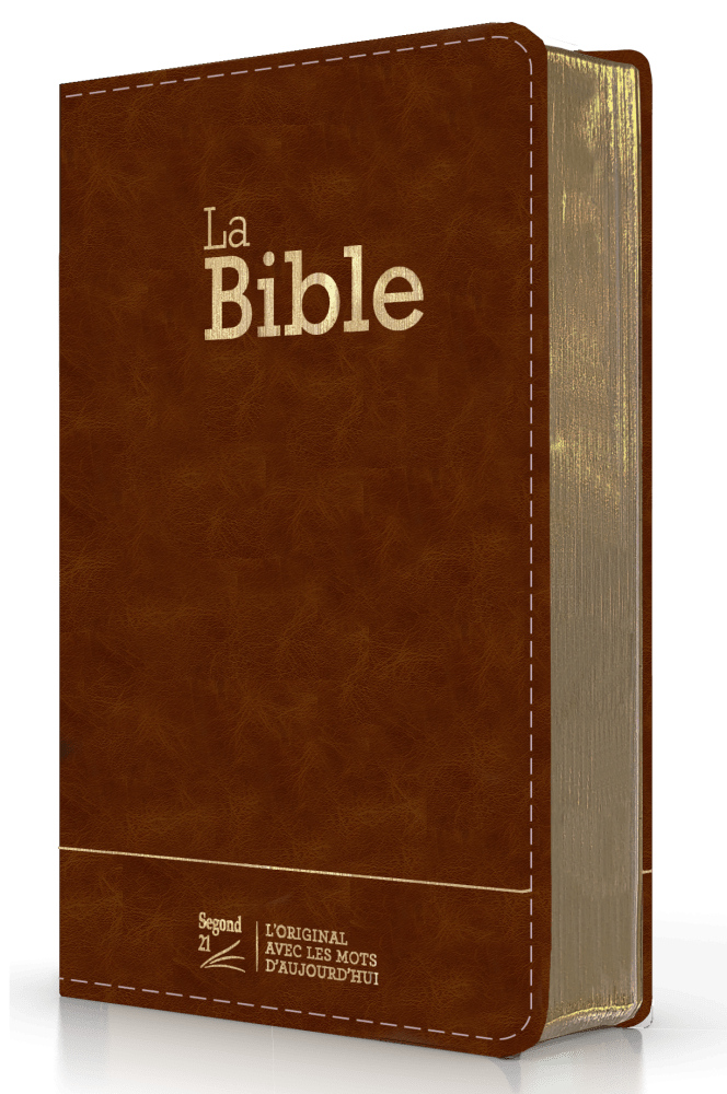 Bible Segond 21 compacte (Premium Style) - couverture semi-rigide brun, avec tranches dorées