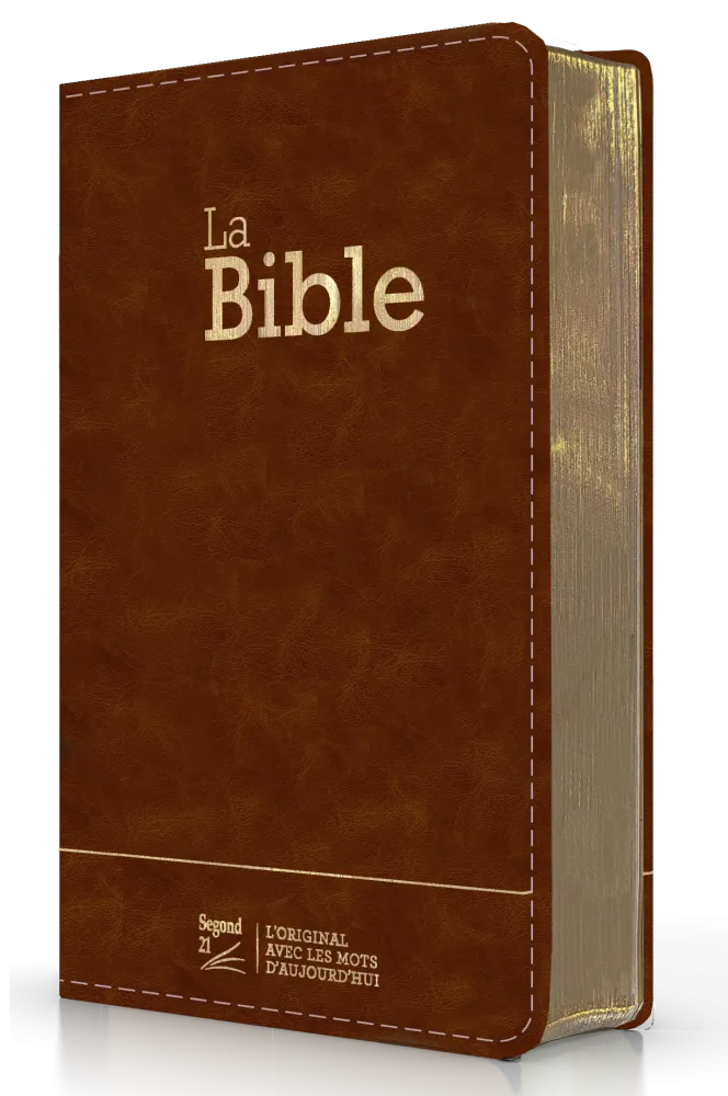Bible Segond 21 compacte (Premium Style) - couverture semi-rigide brun, avec tranches dorées