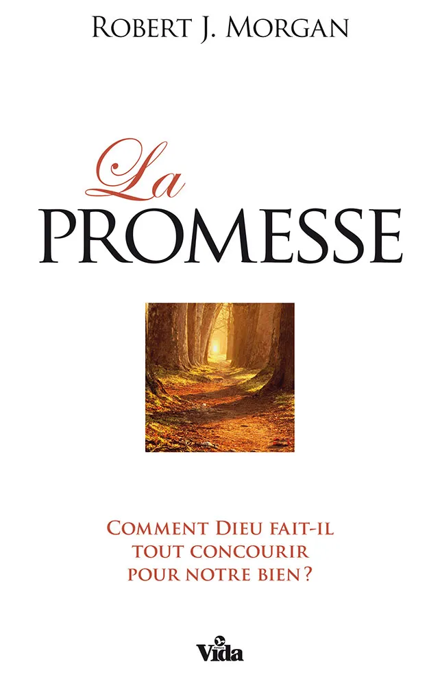 Promesse (La) - Comment Dieu fait-il tout concourir pour notre bien ?