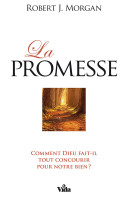 Promesse (La) - Comment Dieu fait-il tout concourir pour notre bien ?