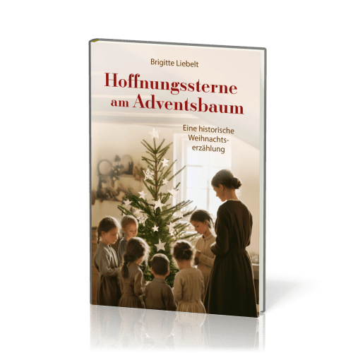 Hoffnungssterne am Adventsbaum - Eine historische Weihnachtserzählung