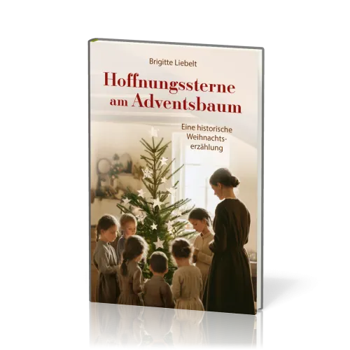 Hoffnungssterne am Adventsbaum - Eine historische Weihnachtserzählung