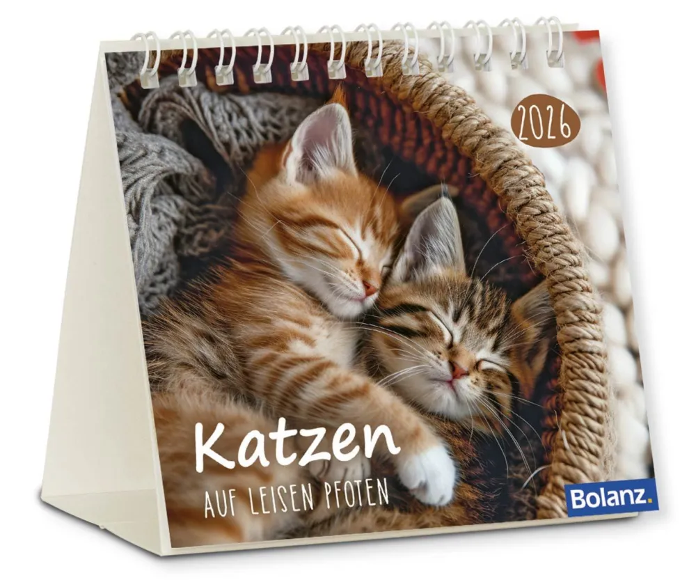 Kalender Katzen - Auf liesen Pfoten - Minikalender