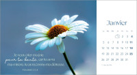 Fleurs avec versets bibliques (Les) - calendrier