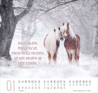 Meilleurs amis - Calendrier grand format