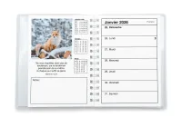 Agenda Color