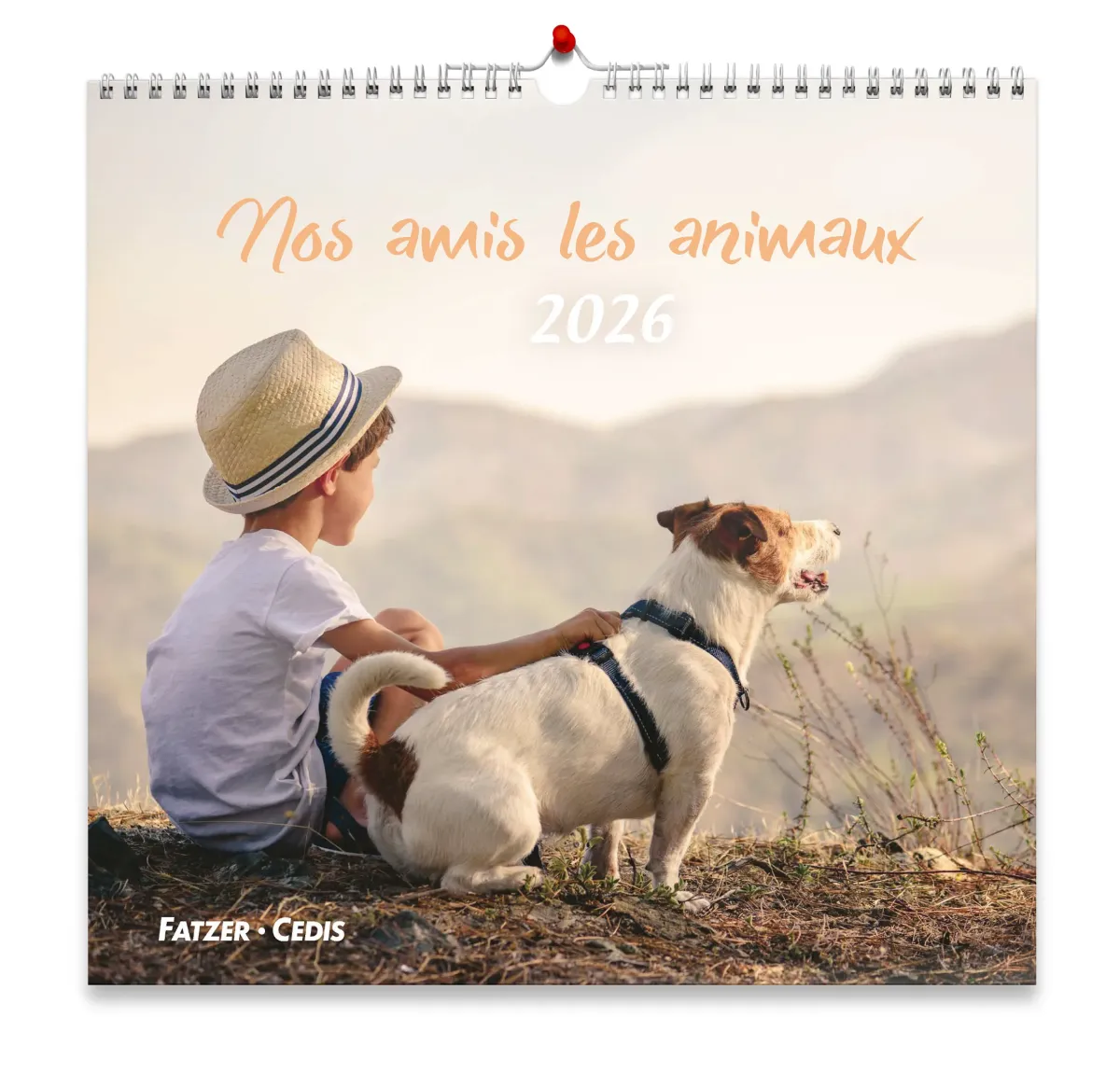 Nos amis les animaux - Calendrier