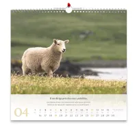 Psaume 23 - Grand format - calendrier mural