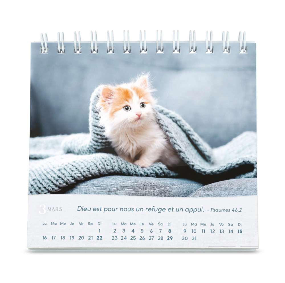 Nos amis les chats - Petit calendrier avec 12 belles photos de chats