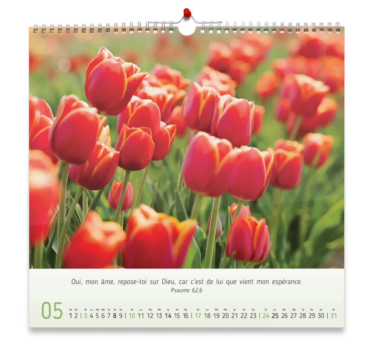 Floréus - calendrier