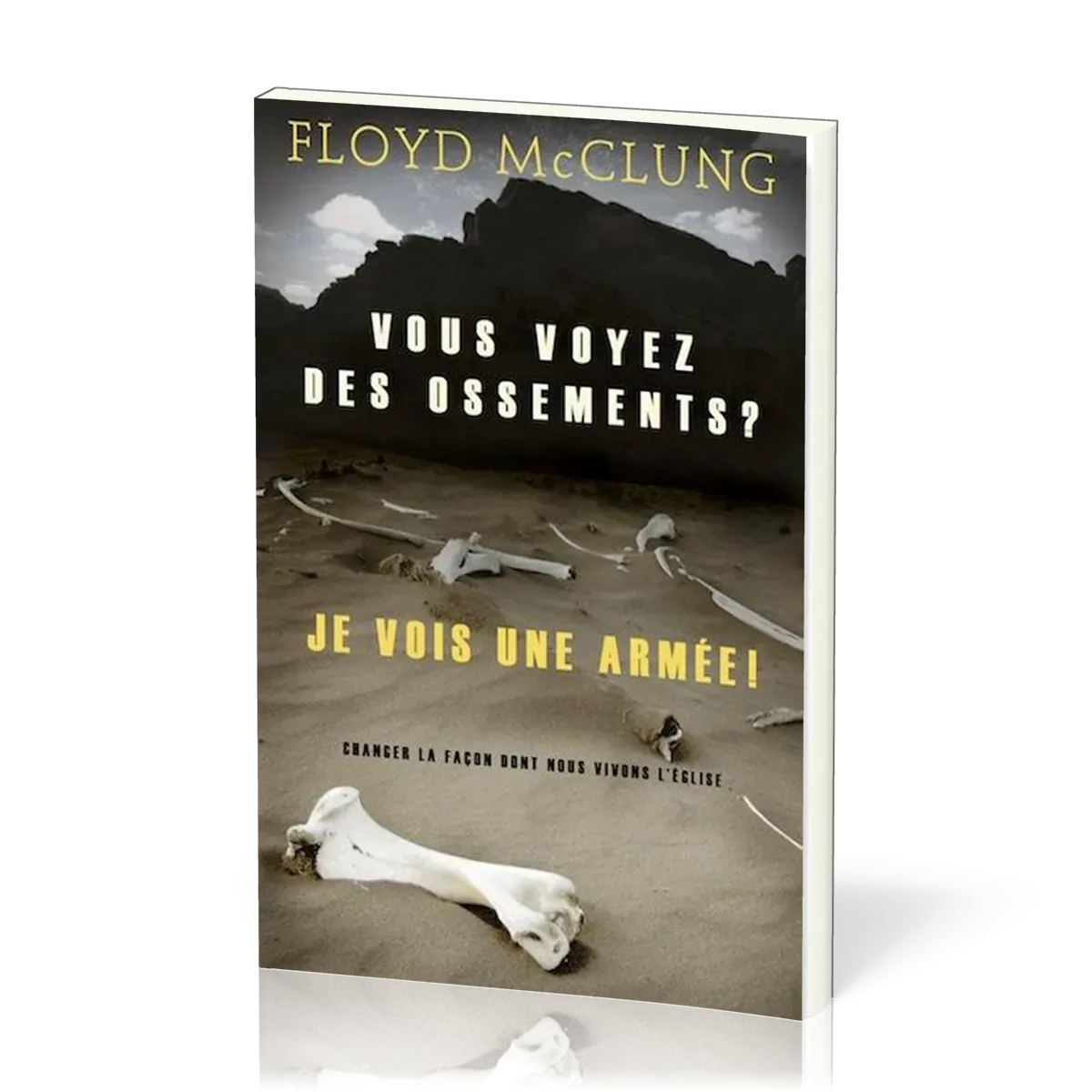 Vous voyez des ossements? Je vois une armée! - Changer la façon dont nous vivons l'Eglise
