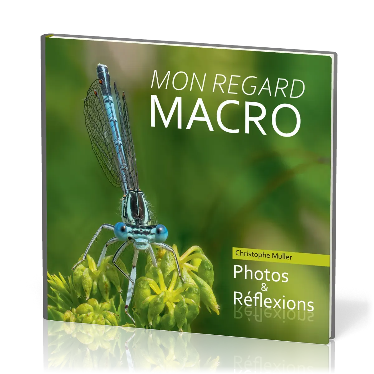 Mon regard Macro - Photos et Réflexions