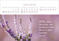 Das Geschenk der Freude - Panorama-Tischkalender