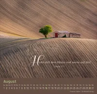 Weg-Licht-Leben - Tischkalender