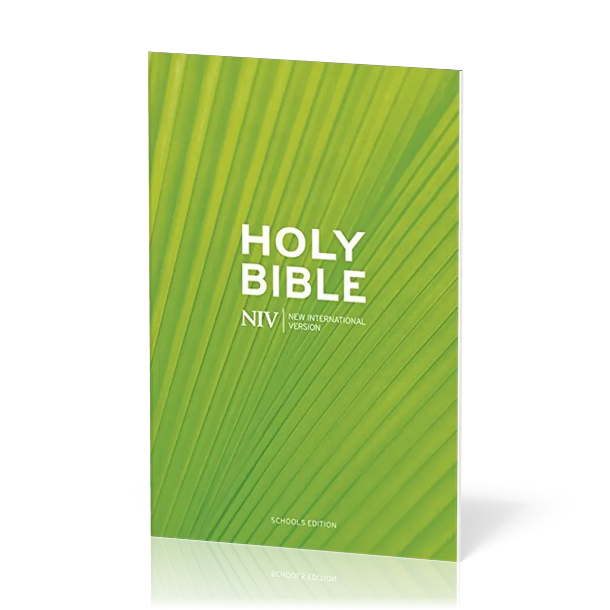 Englisch, Bibel New International Version, kartonniert