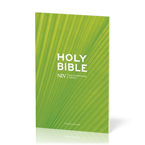 Englisch, Bibel New International Version, kartonniert