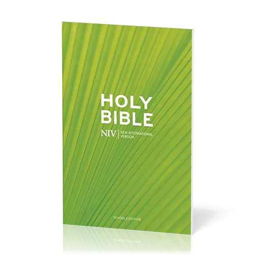 Englisch, Bibel New International Version, kartonniert