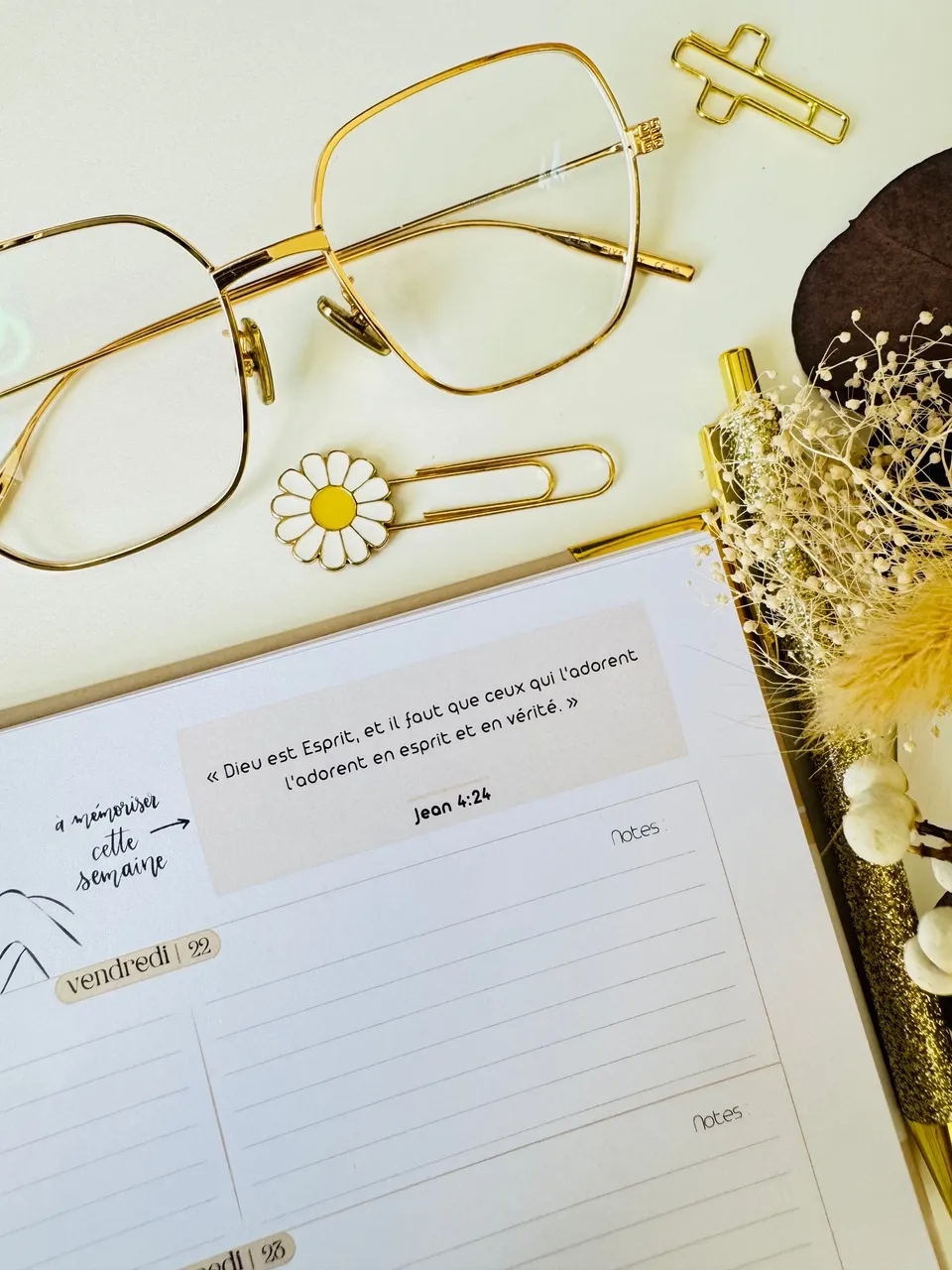 Planner jour après jour 2025-2026 - j'accomplirai mes résolutions