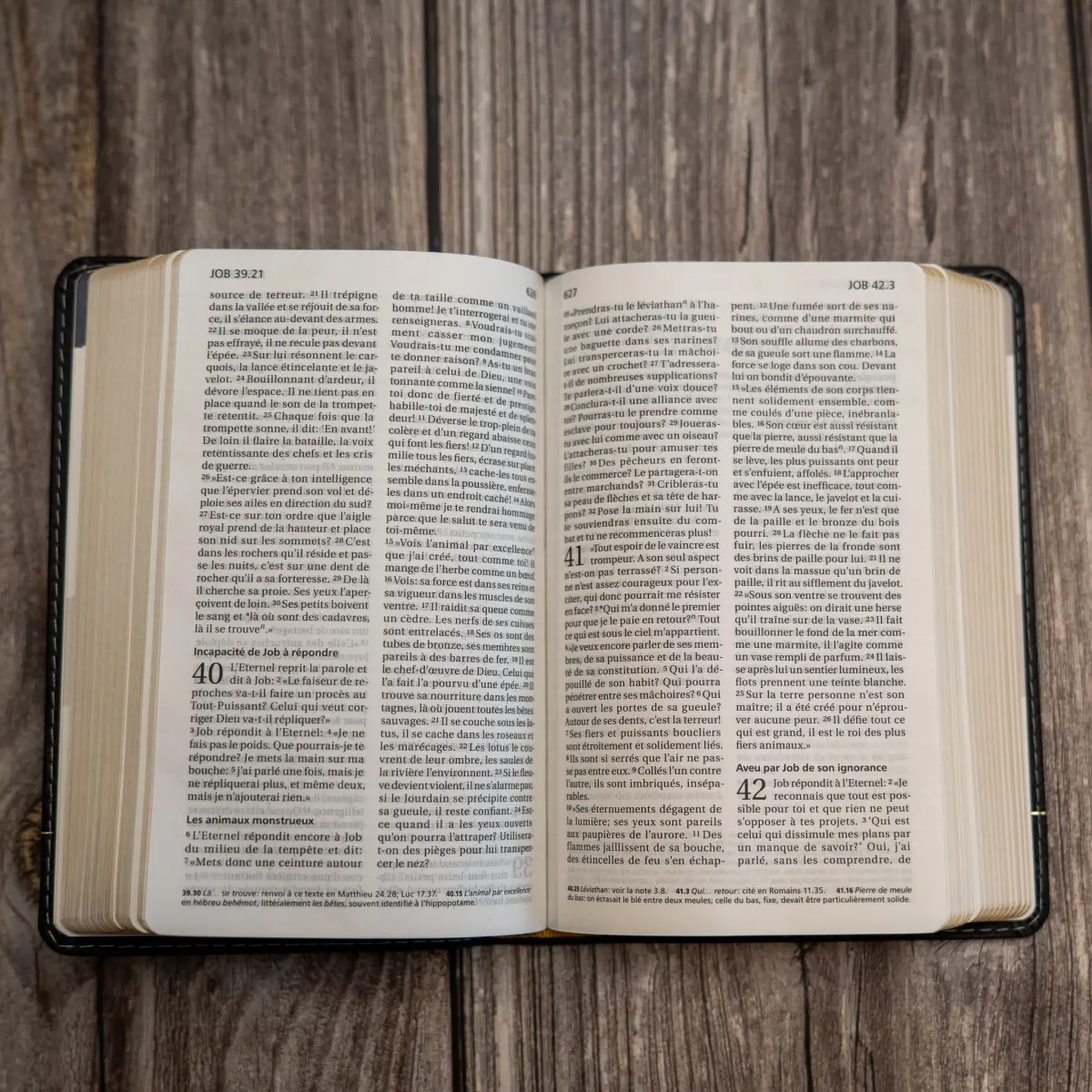 Bible Segond 21 compacte (Premium Style) - couverture souple, cuir anthracite, avec tranches dorées