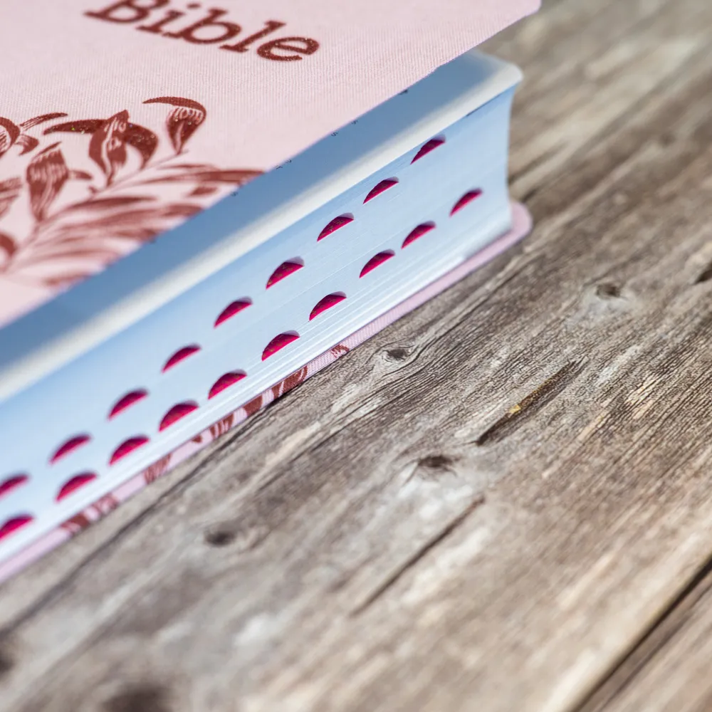 Bible Segond 21 compacte (Premium Style) - couverture souple, toile rose avec paillettes