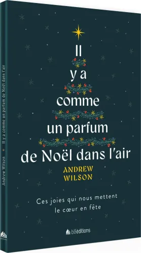 Il y a comme un parfum de Noël dans l'air - Ces joies qui nous mettent le cœur en fête