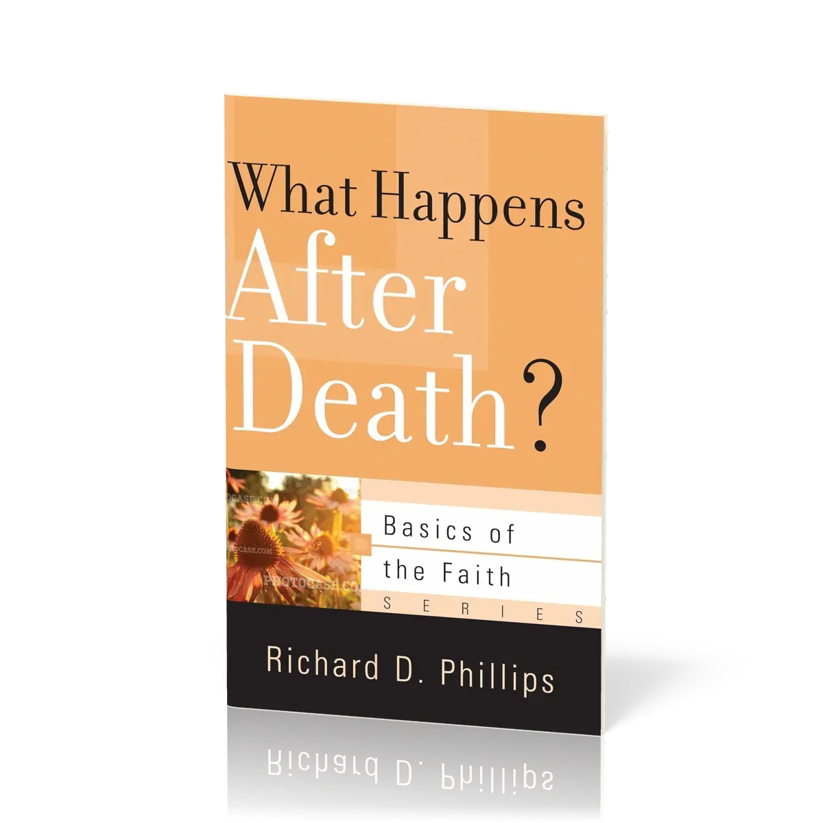 What Happens after Death? - Basics of the Faith Series