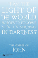 Englisch, Johannes Evangelium New International Version, blau