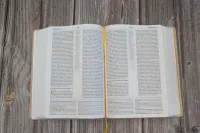 Studienbibel Segond NEG MacArthur, französisch - Softcover, beige Leineneinband