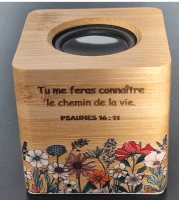 Mini-enceinte Bluetooth - Psaumes 16.11