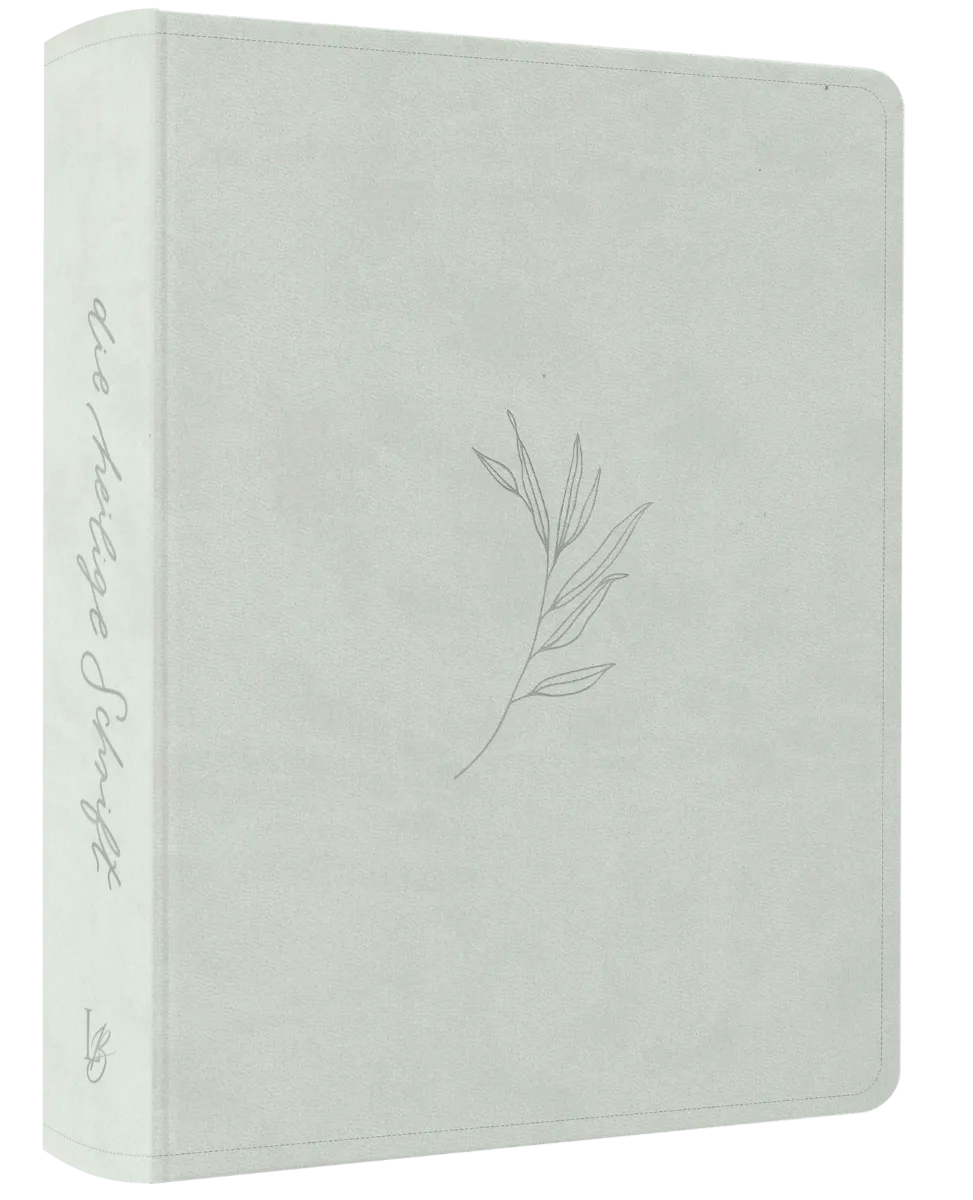 Schlachter Liebezurbibel (Schreibrandbibel Eden) - Flexibler Kunstledereinband - Mint mit...
